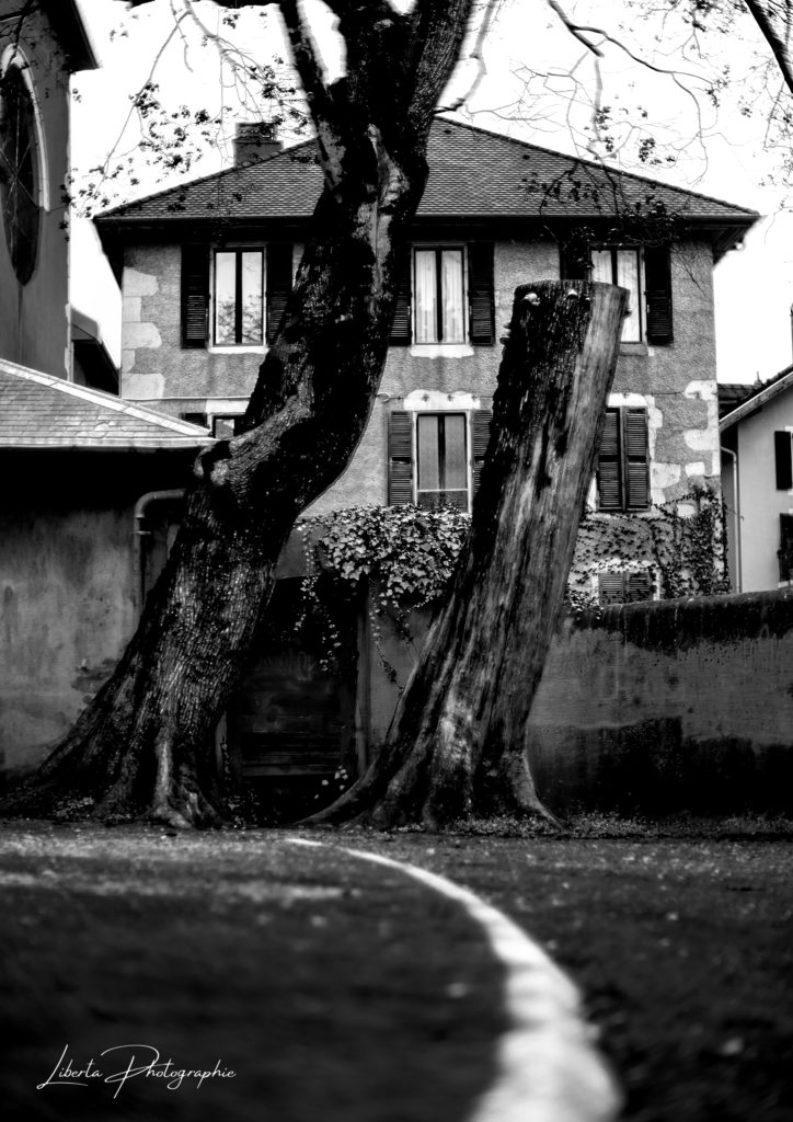 Annecy Noir et Blanc